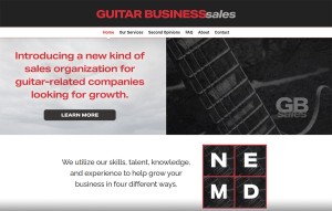 Guitar Business Sales