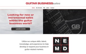 Guitar Business Sales